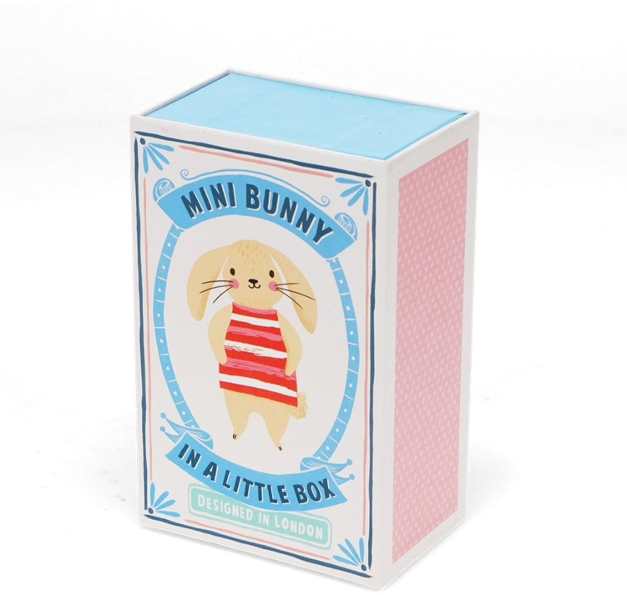 Bunny In A Box
