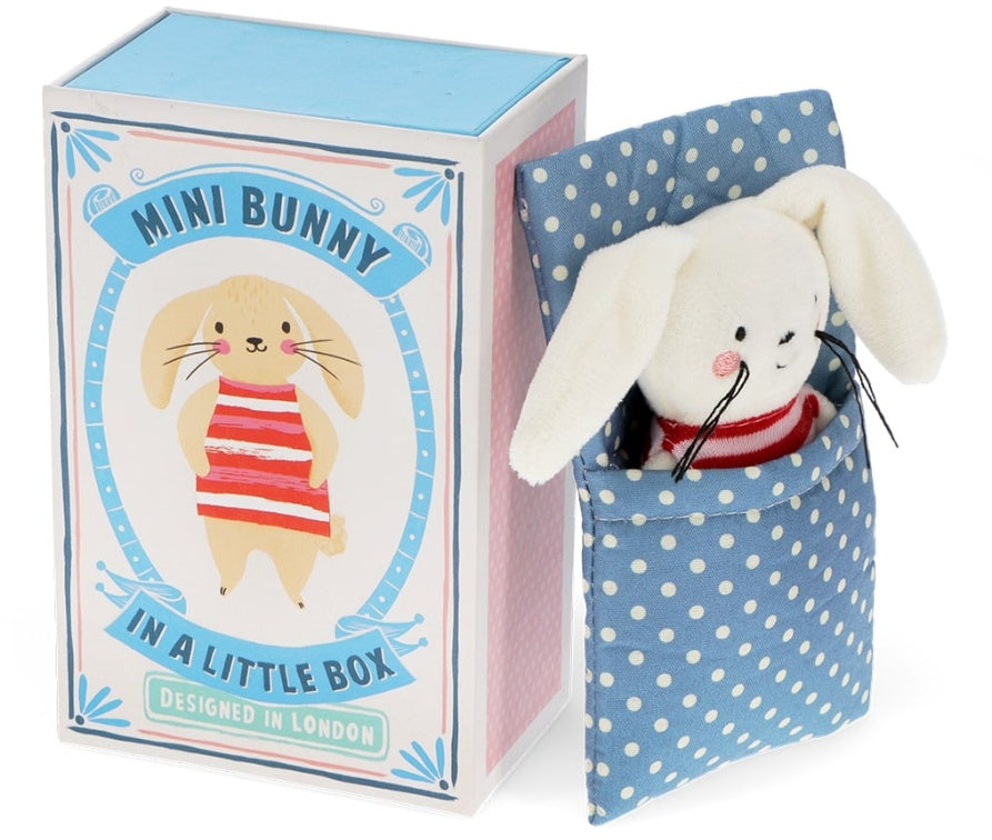 Bunny In A Box