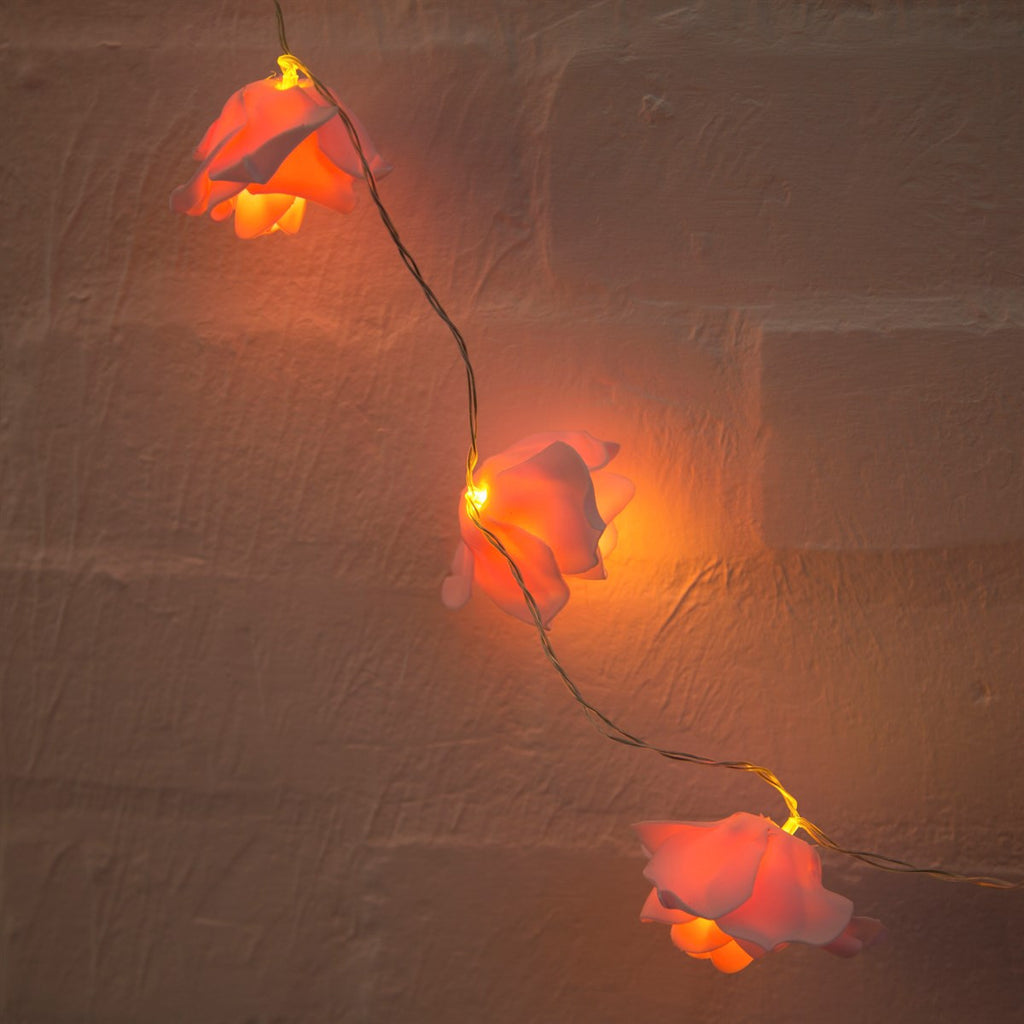 String of pink rose warm white fairy lights hanging in front of a wall