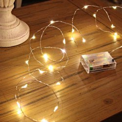 Warm white micro fairy lights with battery case